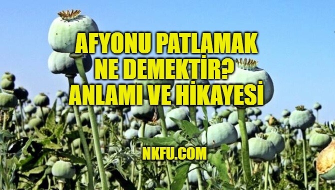 Afyonu Patlamak Deyiminin Anlamı ve Hikayesi