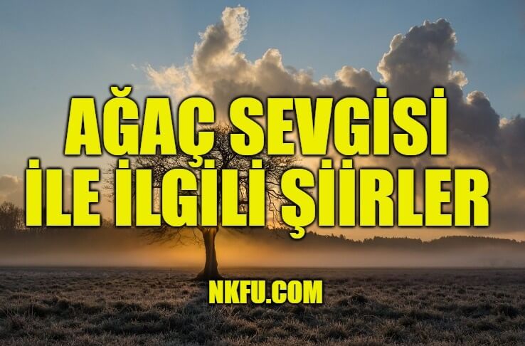 Ağaç Sevgisi İle İlgili Şiirler