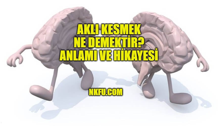 Aklı Kesmek Ne Demektir? Deyimin Anlamı Hikayesi ve Örnek Cümleler
