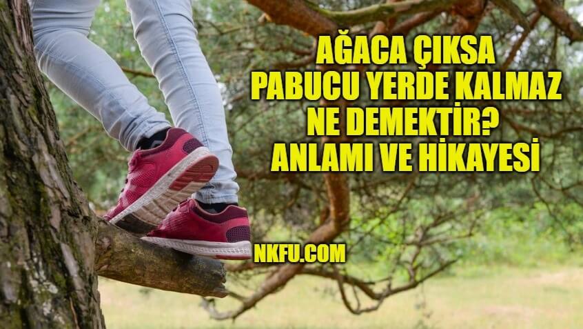 Ağaca Çıksa Pabucu Yerde Kalmaz Deyimi