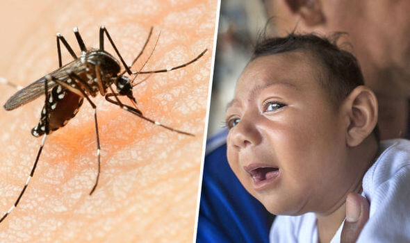 Zika Virüsü