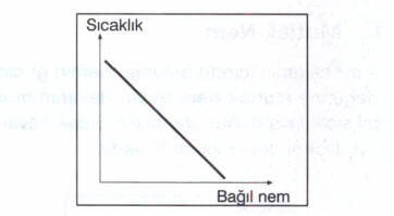 Bağıl Nem