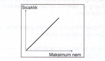 Maksimum Nem