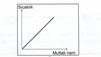 Mutlak Nem