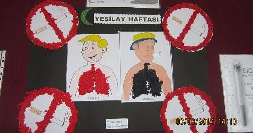 Yeşilay Haftası Pano Çalışması
