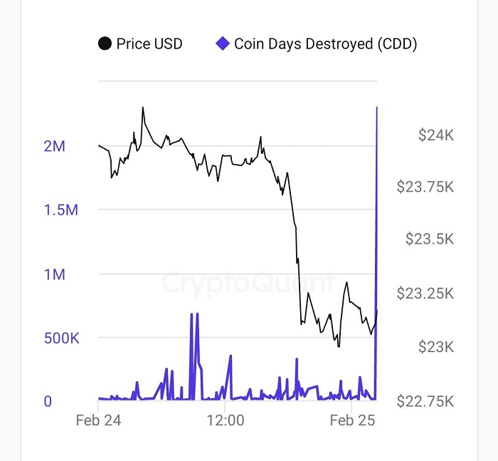CDD (Coin Days Destroyed)